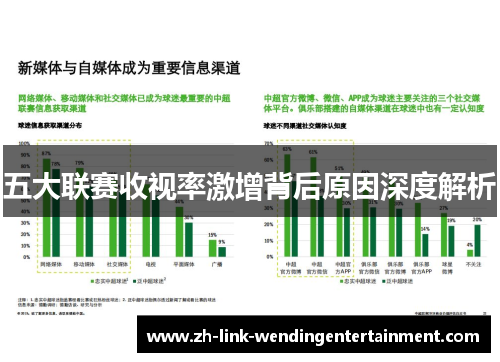 五大联赛收视率激增背后原因深度解析